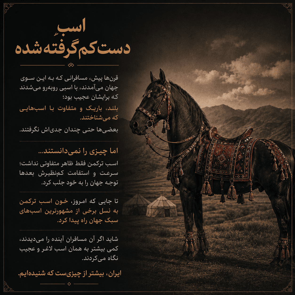 تی‌شرت اسب